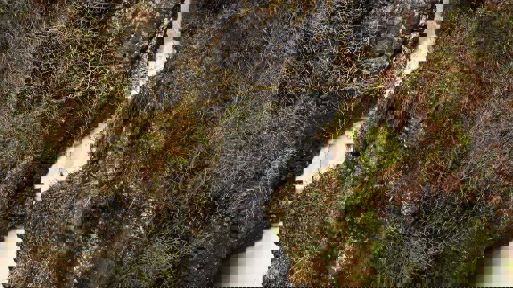 The Deil's Cauldron Comrie